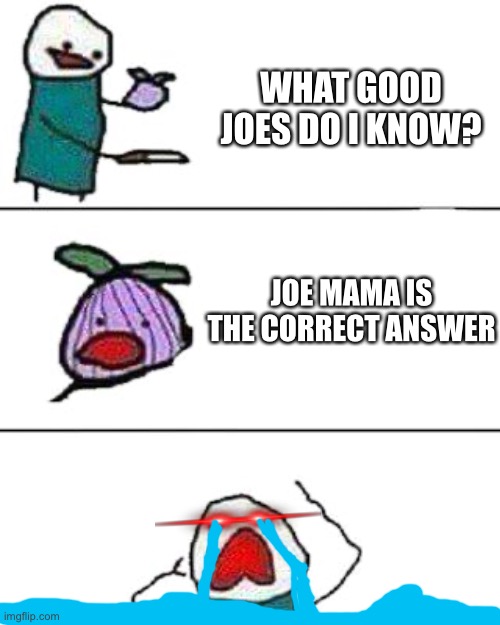 this onion won't make me cry | JOE MAMA IS THE CORRECT ANSWER WHAT GOOD JOES DO I KNOW? | image tagged in this onion won't make me cry | made w/ Imgflip meme maker