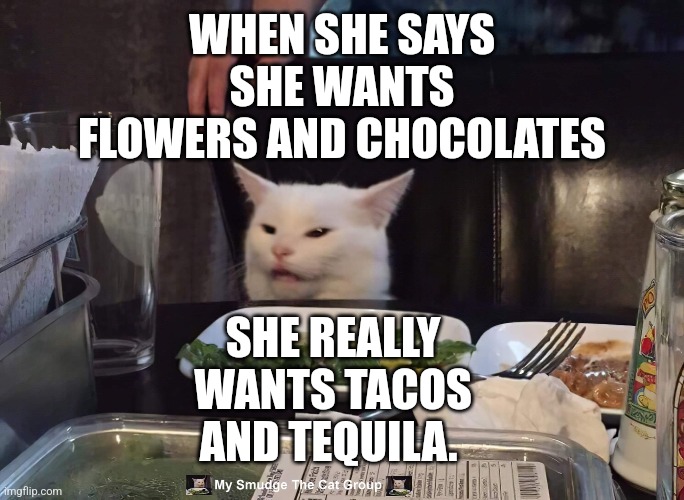 WHEN SHE SAYS SHE WANTS FLOWERS AND CHOCOLATES; SHE REALLY WANTS TACOS AND TEQUILA. | image tagged in smudge the cat | made w/ Imgflip meme maker