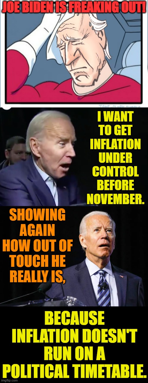 What Do You Think? | JOE BIDEN IS FREAKING OUT! I WANT TO GET INFLATION UNDER CONTROL BEFORE NOVEMBER. SHOWING AGAIN HOW OUT OF TOUCH HE REALLY IS, BECAUSE INFLATION DOESN'T RUN ON A POLITICAL TIMETABLE. | image tagged in memes,politics,joe biden,freaking out,inflation,november | made w/ Imgflip meme maker