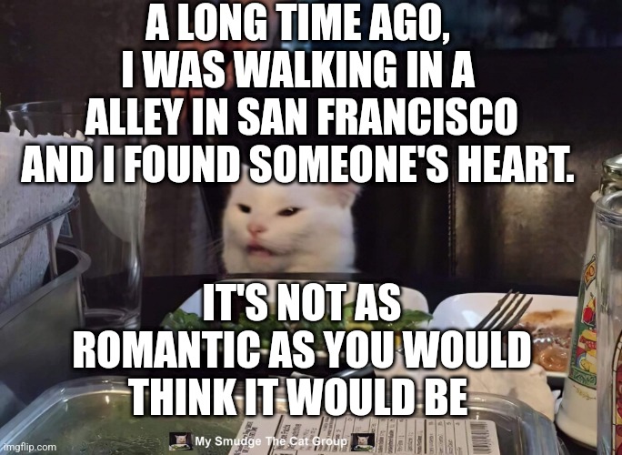 A LONG TIME AGO,  I WAS WALKING IN A  ALLEY IN SAN FRANCISCO AND I FOUND SOMEONE'S HEART. IT'S NOT AS ROMANTIC AS YOU WOULD THINK IT WOULD BE | image tagged in smudge the cat | made w/ Imgflip meme maker