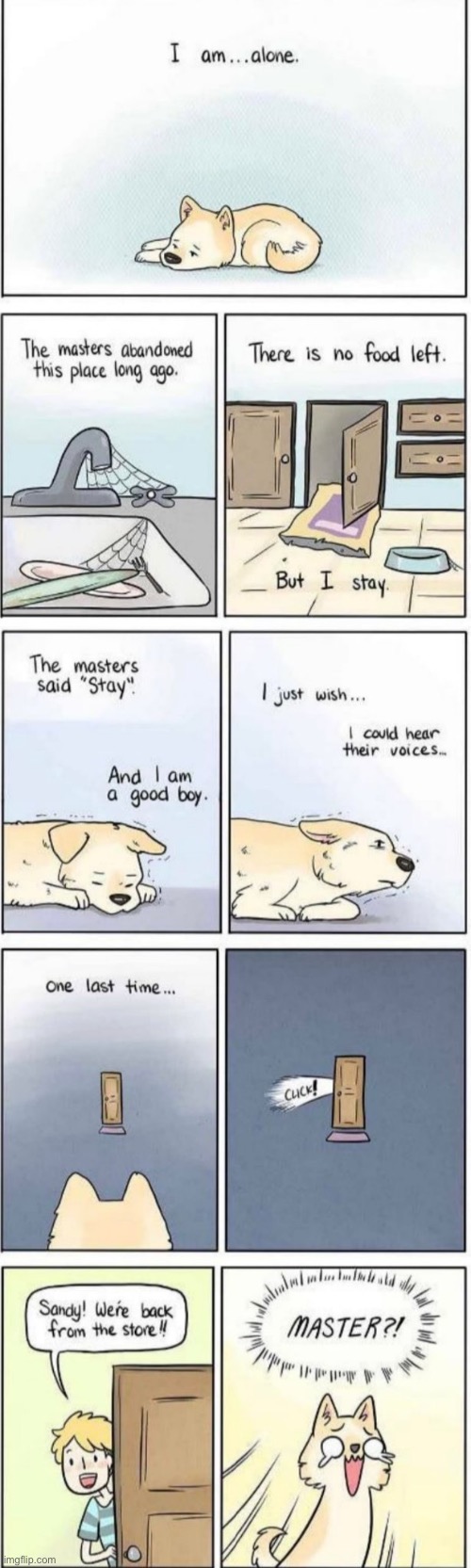Dogs after you’ve been gone for 20 minutes | image tagged in dog,comics | made w/ Imgflip meme maker