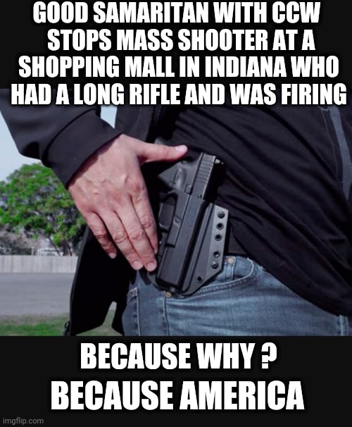 A Good Samaritan |  GOOD SAMARITAN WITH CCW 
 STOPS MASS SHOOTER AT A SHOPPING MALL IN INDIANA WHO HAD A LONG RIFLE AND WAS FIRING; BECAUSE WHY ? BECAUSE AMERICA | image tagged in liberals,ar,leftists,democrats,nra,indiana | made w/ Imgflip meme maker