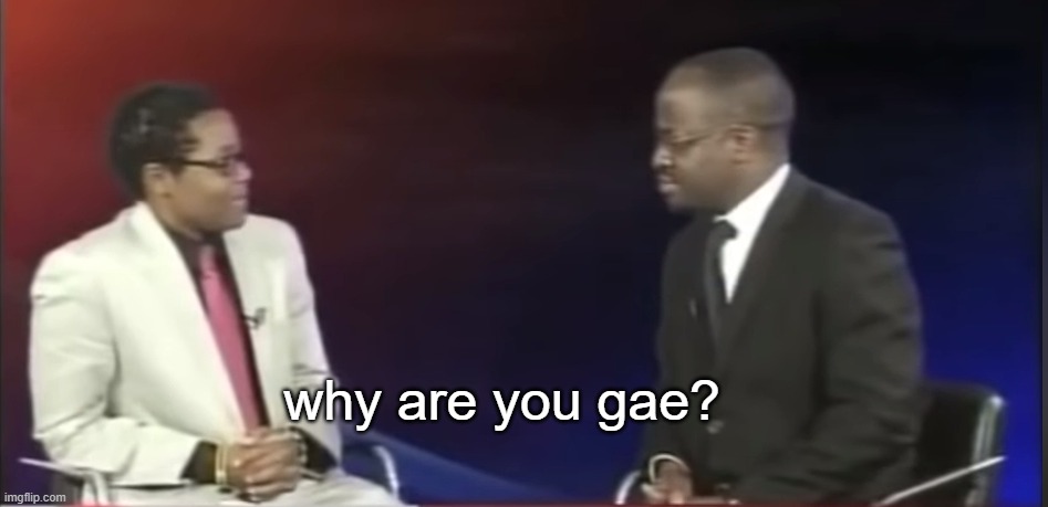 Why are you gae? | why are you gae? | image tagged in why are you gae | made w/ Imgflip meme maker