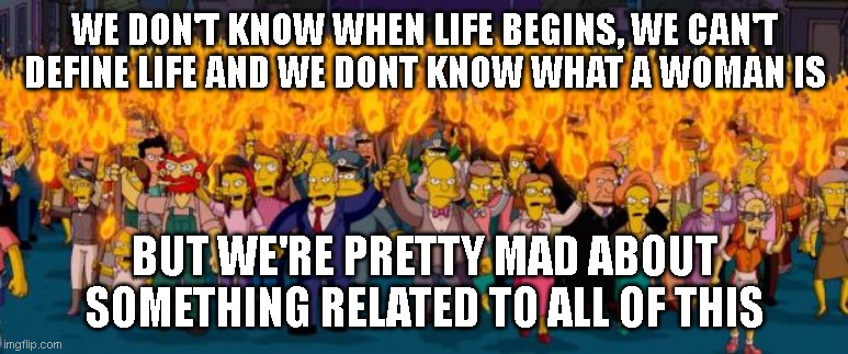 roe v wade | WE DON'T KNOW WHEN LIFE BEGINS, WE CAN'T DEFINE LIFE AND WE DONT KNOW WHAT A WOMAN IS; BUT WE'RE PRETTY MAD ABOUT SOMETHING RELATED TO ALL OF THIS | image tagged in simpsons angry mob torches | made w/ Imgflip meme maker