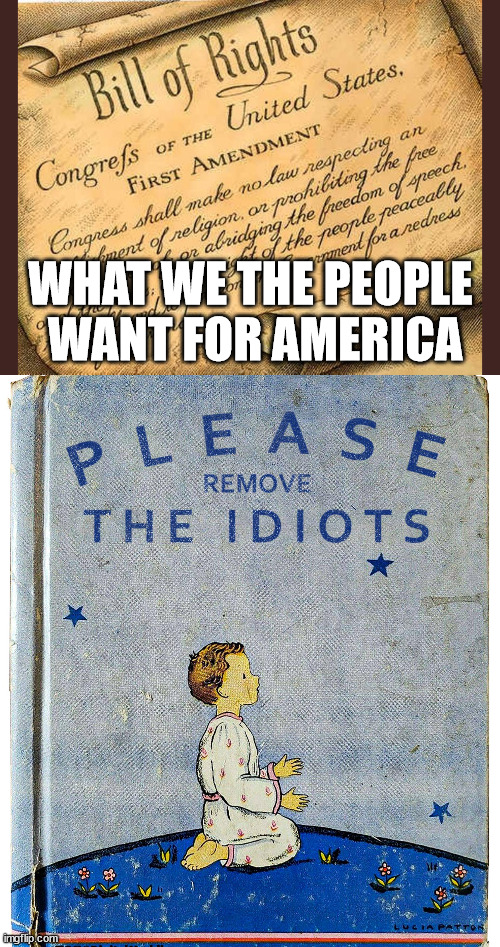 WHAT WE THE PEOPLE 
WANT FOR AMERICA | image tagged in bill of rights,political meme | made w/ Imgflip meme maker