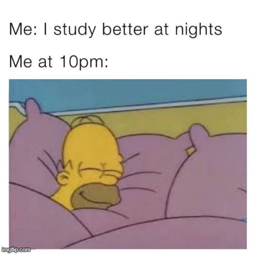 image tagged in night,studying,sleeping | made w/ Imgflip meme maker