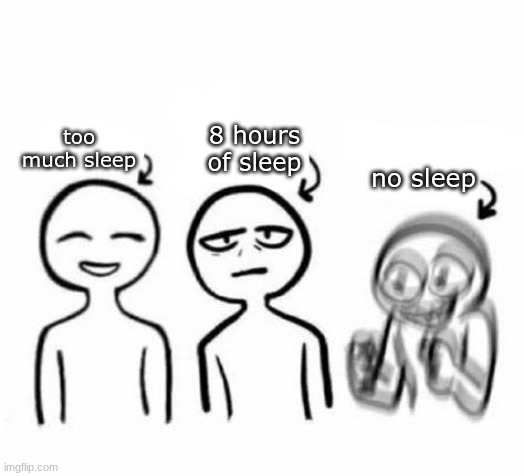 Calm, no energy, too much energy | 8 hours of sleep; too much sleep; no sleep | image tagged in calm no energy too much energy | made w/ Imgflip meme maker