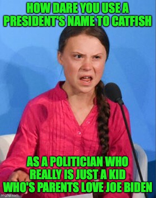 Greta Thunberg how dare you | HOW DARE YOU USE A PRESIDENT'S NAME TO CATFISH AS A POLITICIAN WHO REALLY IS JUST A KID WHO'S PARENTS LOVE JOE BIDEN | image tagged in greta thunberg how dare you | made w/ Imgflip meme maker