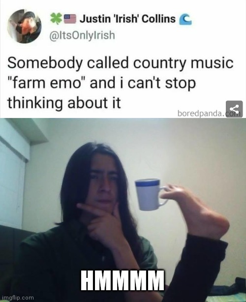Hmmm | HMMMM | image tagged in hmmmm,hmm,country music,emo,music,interesting | made w/ Imgflip meme maker
