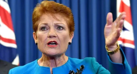 High Quality Pauline Hanson Angry Blank Meme Template