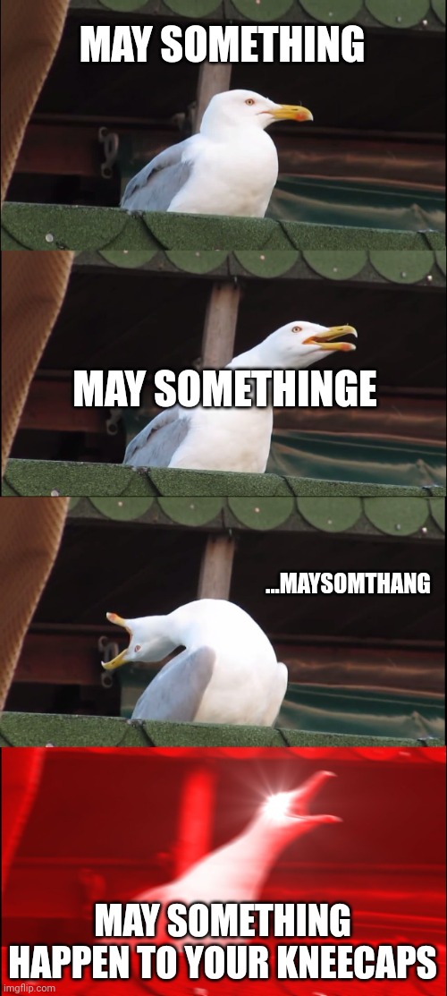 Somthing | MAY SOMETHING; MAY SOMETHINGE; ...MAYSOMTHANG; MAY SOMETHING HAPPEN TO YOUR KNEECAPS | image tagged in memes,inhaling seagull | made w/ Imgflip meme maker