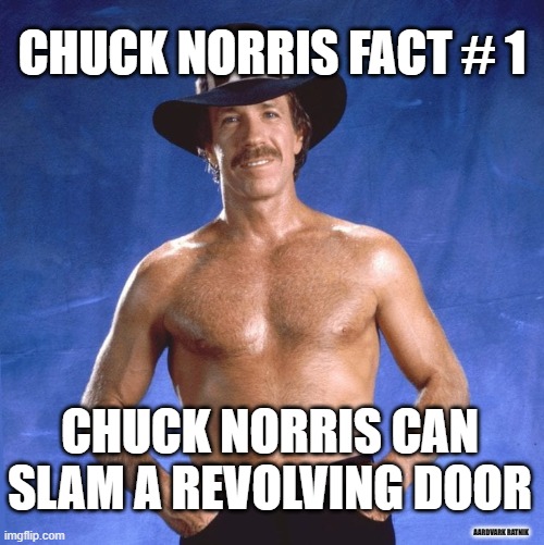Norris Fact 1 | CHUCK NORRIS FACT # 1; CHUCK NORRIS CAN SLAM A REVOLVING DOOR; AARDVARK RATNIK | image tagged in chuck norris approves,bruce lee,martial arts,funny memes,movies | made w/ Imgflip meme maker