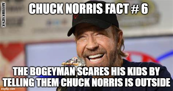 chuck norris 6 | CHUCK NORRIS FACT # 6; AARDVARK RATNIK; THE BOGEYMAN SCARES HIS KIDS BY TELLING THEM CHUCK NORRIS IS OUTSIDE | image tagged in chuck norris approves,chuck norris guns,chuck norris,funny memes,karate | made w/ Imgflip meme maker