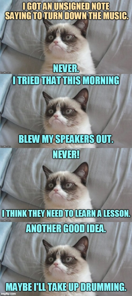 cats grumpy cat Memes & GIFs - Imgflip