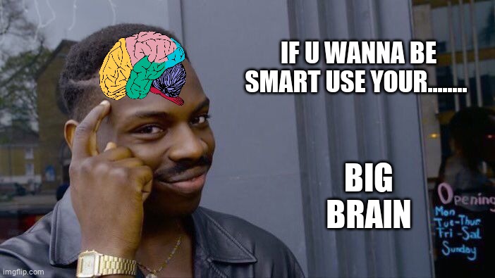 Be Smart <3 | IF U WANNA BE SMART USE YOUR........ BIG BRAIN | image tagged in memes,roll safe think about it | made w/ Imgflip meme maker