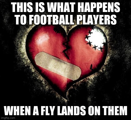 Football players do this lol! | THIS IS WHAT HAPPENS TO FOOTBALL PLAYERS; WHEN A FLY LANDS ON THEM | image tagged in broken heart | made w/ Imgflip meme maker