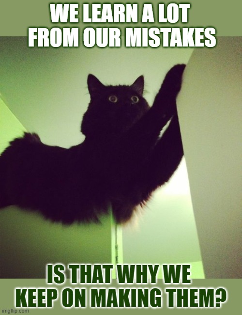 This #lolcat wonders why we keep making the same mistakes | WE LEARN A LOT 
FROM OUR MISTAKES; IS THAT WHY WE 
KEEP ON MAKING THEM? | image tagged in lolcat,think about it,mistakes,human stupidity | made w/ Imgflip meme maker