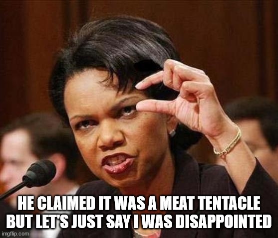 small little penis dick | HE CLAIMED IT WAS A MEAT TENTACLE BUT LET'S JUST SAY I WAS DISAPPOINTED | image tagged in small little penis dick | made w/ Imgflip meme maker