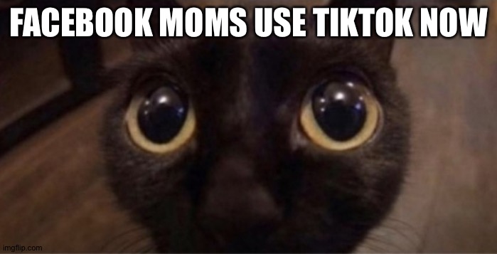 THEY HAVE A MINION CULT | FACEBOOK MOMS USE TIKTOK NOW | image tagged in skrunkly | made w/ Imgflip meme maker