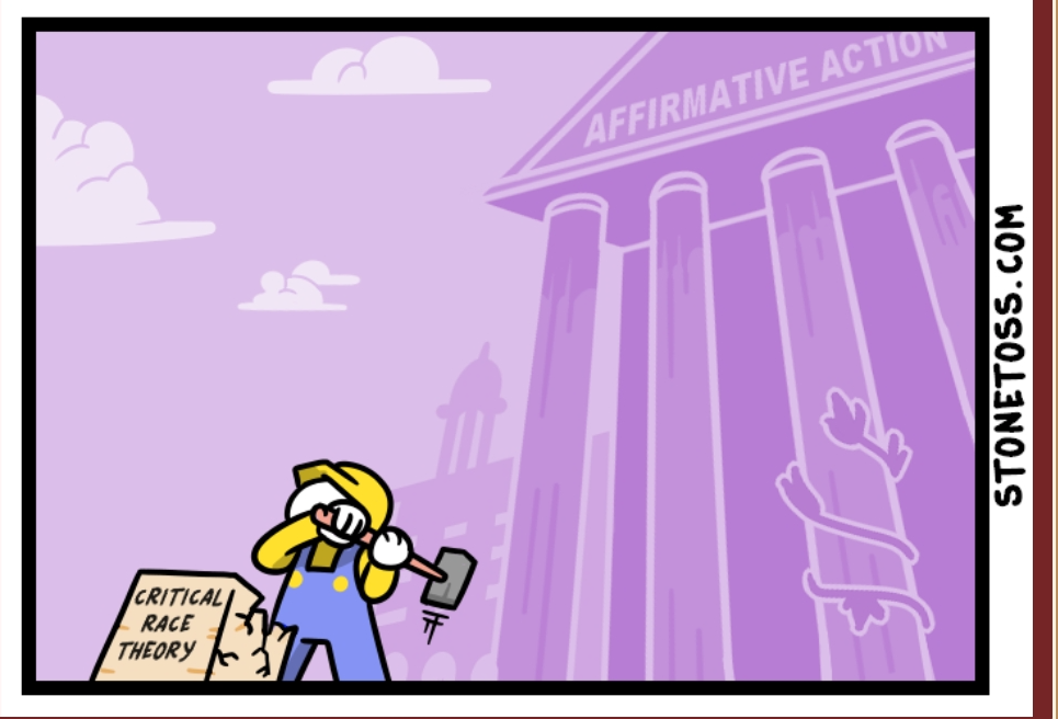 Stonetoss affirmative action Blank Meme Template