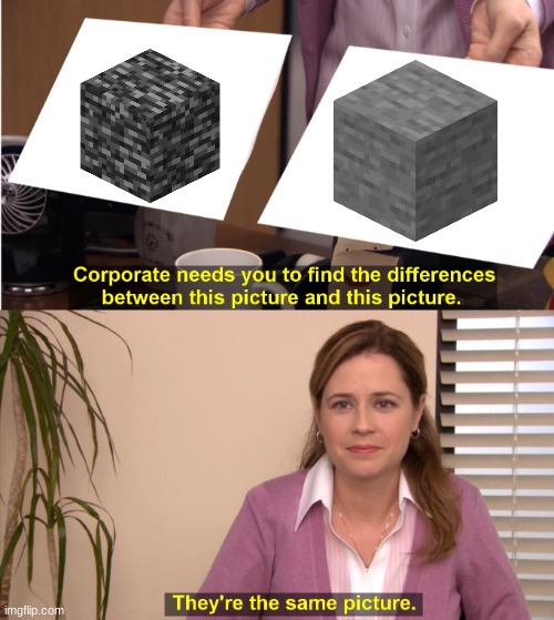 stone looks similar to bedrock | image tagged in memes,they're the same picture | made w/ Imgflip meme maker