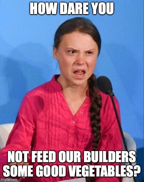 Greta Thunberg how dare you | HOW DARE YOU NOT FEED OUR BUILDERS SOME GOOD VEGETABLES? | image tagged in greta thunberg how dare you | made w/ Imgflip meme maker