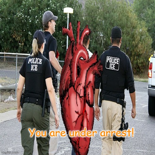Cardiac Arrest | You are under arrest! | image tagged in heart,medical,cardiac arest,police | made w/ Imgflip meme maker