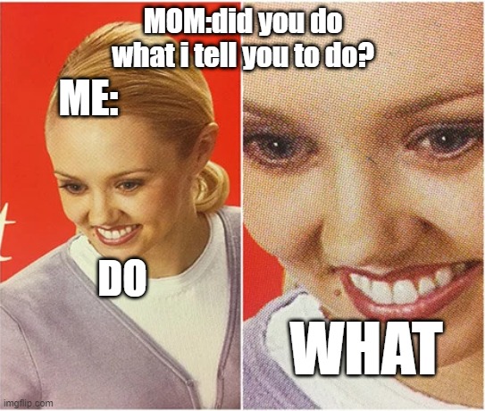 EVERYTIME | MOM:did you do what i tell you to do? ME:; DO; WHAT | image tagged in the what blank | made w/ Imgflip meme maker