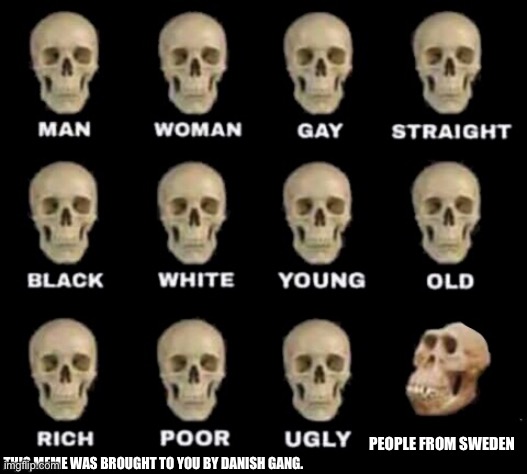 True | PEOPLE FROM SWEDEN; THIS MEME WAS BROUGHT TO YOU BY DANISH GANG. | image tagged in idiot skull | made w/ Imgflip meme maker