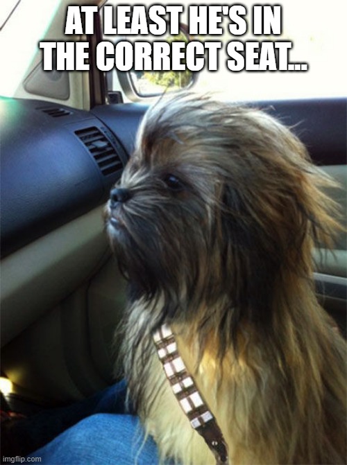 Riding Shotgun | AT LEAST HE'S IN THE CORRECT SEAT... | image tagged in chewbacca | made w/ Imgflip meme maker