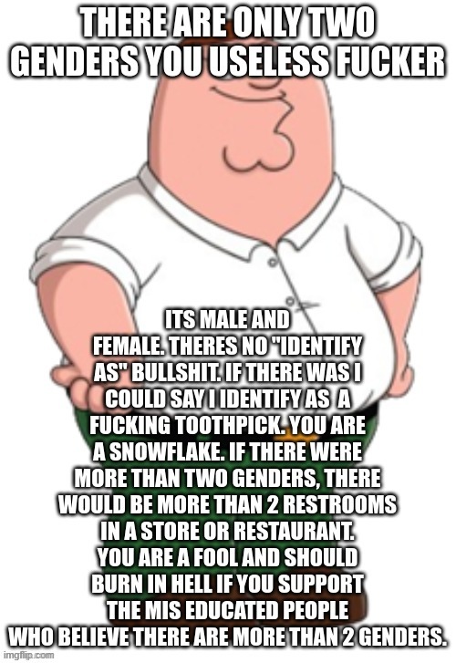 a rant i made a few months ago | image tagged in there are only two genders | made w/ Imgflip meme maker