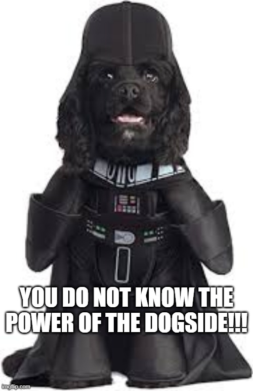 Use the Woof | YOU DO NOT KNOW THE POWER OF THE DOGSIDE!!! | image tagged in star wars | made w/ Imgflip meme maker