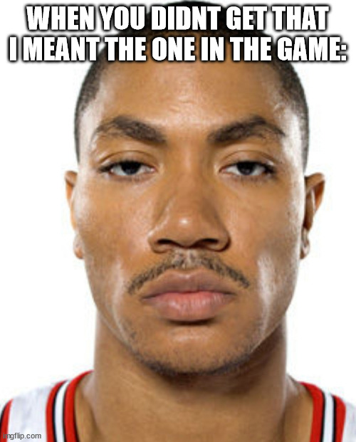 Derrick Rose Straight Face | WHEN YOU DIDNT GET THAT I MEANT THE ONE IN THE GAME: | image tagged in derrick rose straight face | made w/ Imgflip meme maker