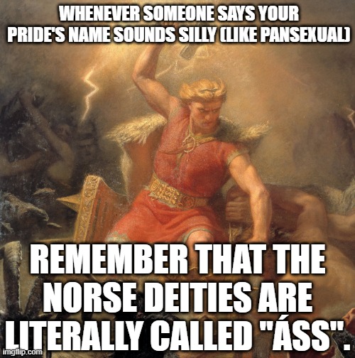 Well, Technically it's "ǫ́ss". xD | WHENEVER SOMEONE SAYS YOUR PRIDE'S NAME SOUNDS SILLY (LIKE PANSEXUAL); REMEMBER THAT THE NORSE DEITIES ARE LITERALLY CALLED "ÁSS". | image tagged in memes,funny,norse,deities | made w/ Imgflip meme maker