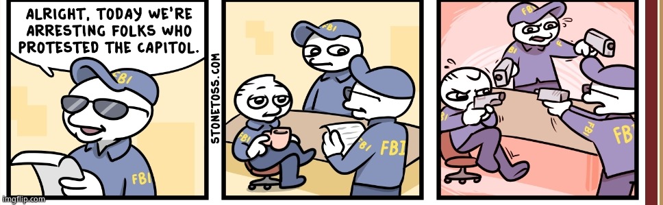 Stonetoss fbi Jan 6th | image tagged in stonetoss fbi jan 6th | made w/ Imgflip meme maker