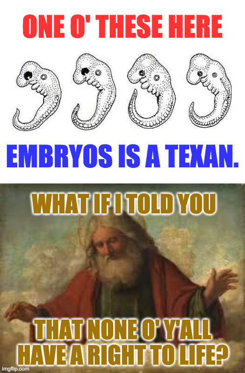 With apologies for nudity (I couldn't find onesies that fit). | ONE O' THESE HERE; EMBRYOS IS A TEXAN. WHAT IF I TOLD YOU; THAT NONE O' Y'ALL
HAVE A RIGHT TO LIFE? | image tagged in memes,turtle chicken rabbit texan,which one will it be,surprise ending | made w/ Imgflip meme maker