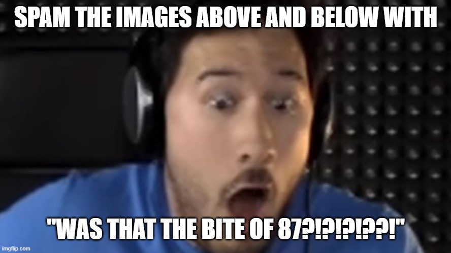 Was That the Bite of '87? | SPAM THE IMAGES ABOVE AND BELOW WITH; "WAS THAT THE BITE OF 87?!?!?!??!" | image tagged in was that the bite of '87 | made w/ Imgflip meme maker