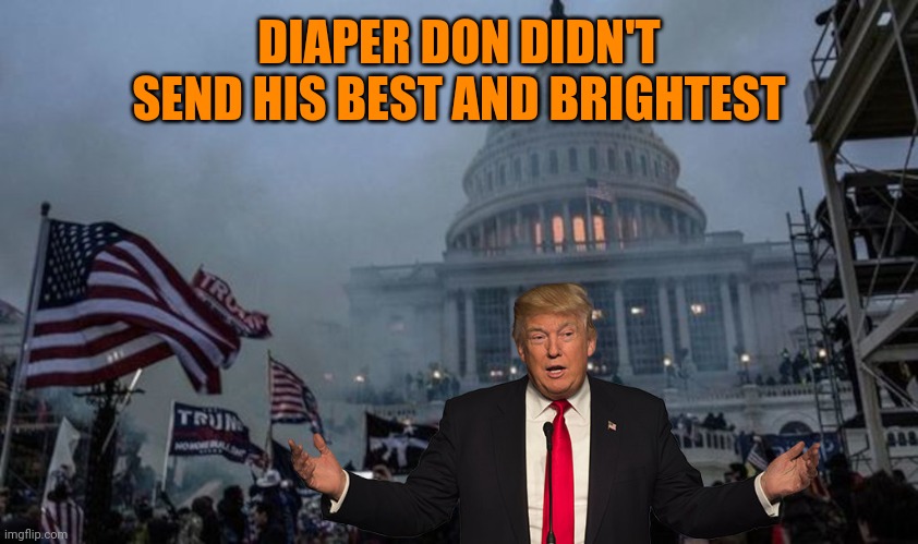 Donnie is basically chief Arredondo | DIAPER DON DIDN'T SEND HIS BEST AND BRIGHTEST | image tagged in misconstrued coup | made w/ Imgflip meme maker