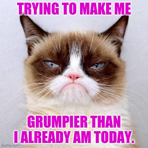 Trolls...What Can You Say? | TRYING TO MAKE ME; GRUMPIER THAN I ALREADY AM TODAY. | image tagged in grumpy cat outside,memes,cats,trolls,more,grumpy cat | made w/ Imgflip meme maker