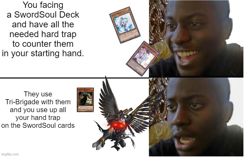 You facing a SwordSoul and a Tri-type deck as once | You facing a SwordSoul Deck and have all the needed hard trap to counter them in your starting hand. They use Tri-Brigade with them and you use up all your hand trap on the SwordSoul cards | image tagged in disappointed black guy | made w/ Imgflip meme maker