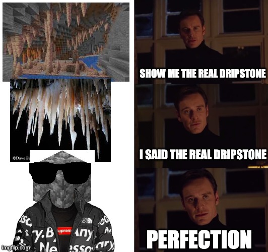 sorry for the horrible quality | SHOW ME THE REAL DRIPSTONE; I SAID THE REAL DRIPSTONE; PERFECTION | image tagged in perfection | made w/ Imgflip meme maker