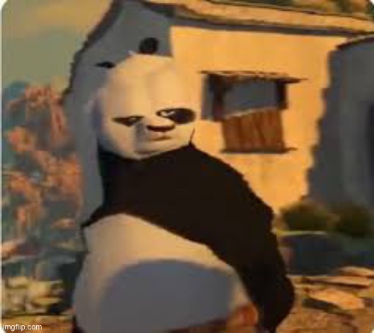 Kung fu Panda | image tagged in kung fu panda | made w/ Imgflip meme maker