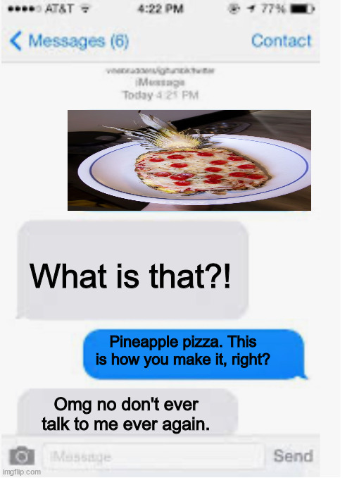 But its pineapple pizza! | What is that?! Pineapple pizza. This is how you make it, right? Omg no don't ever talk to me ever again. | image tagged in blank text conversation | made w/ Imgflip meme maker
