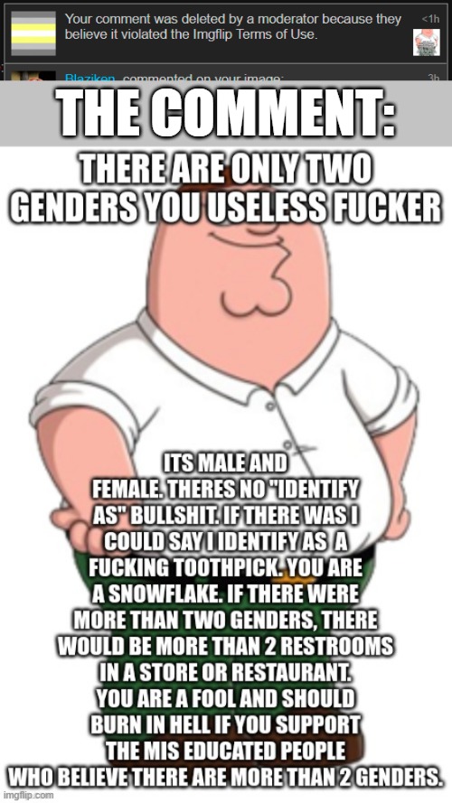 THE COMMENT: | image tagged in there are only two genders | made w/ Imgflip meme maker