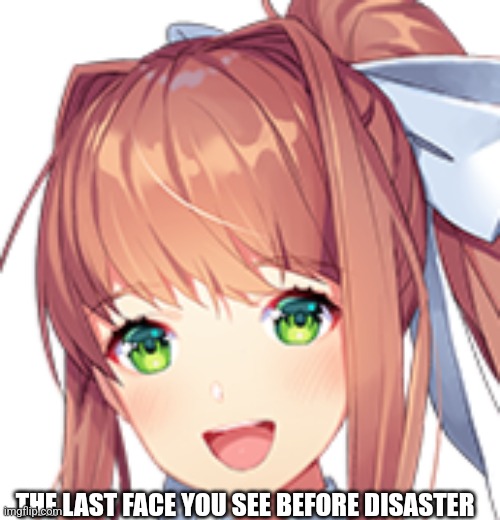 I don't have one | THE LAST FACE YOU SEE BEFORE DISASTER | image tagged in monika,ddlc,meme | made w/ Imgflip meme maker