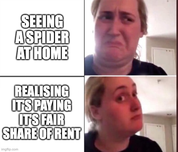 Kombucha Girl | SEEING A SPIDER AT HOME; REALISING IT'S PAYING IT'S FAIR SHARE OF RENT | image tagged in kombucha girl | made w/ Imgflip meme maker