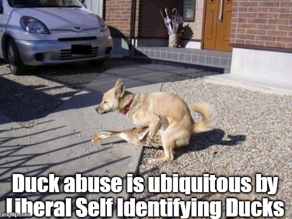 Duck abuse is ubiquitous by Liberal Self Identifying Ducks | made w/ Imgflip meme maker