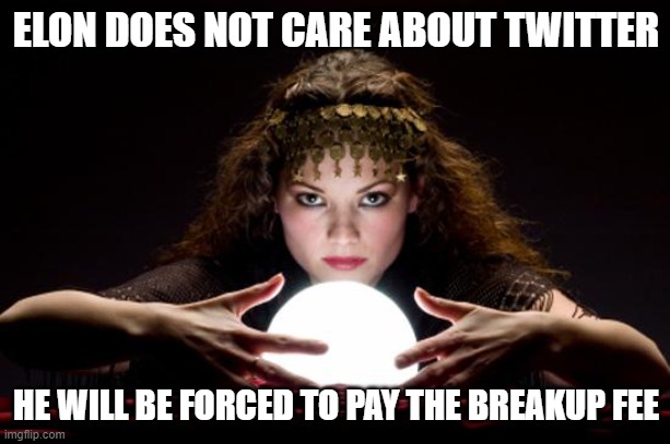 Fortune teller | ELON DOES NOT CARE ABOUT TWITTER HE WILL BE FORCED TO PAY THE BREAKUP FEE | image tagged in fortune teller | made w/ Imgflip meme maker