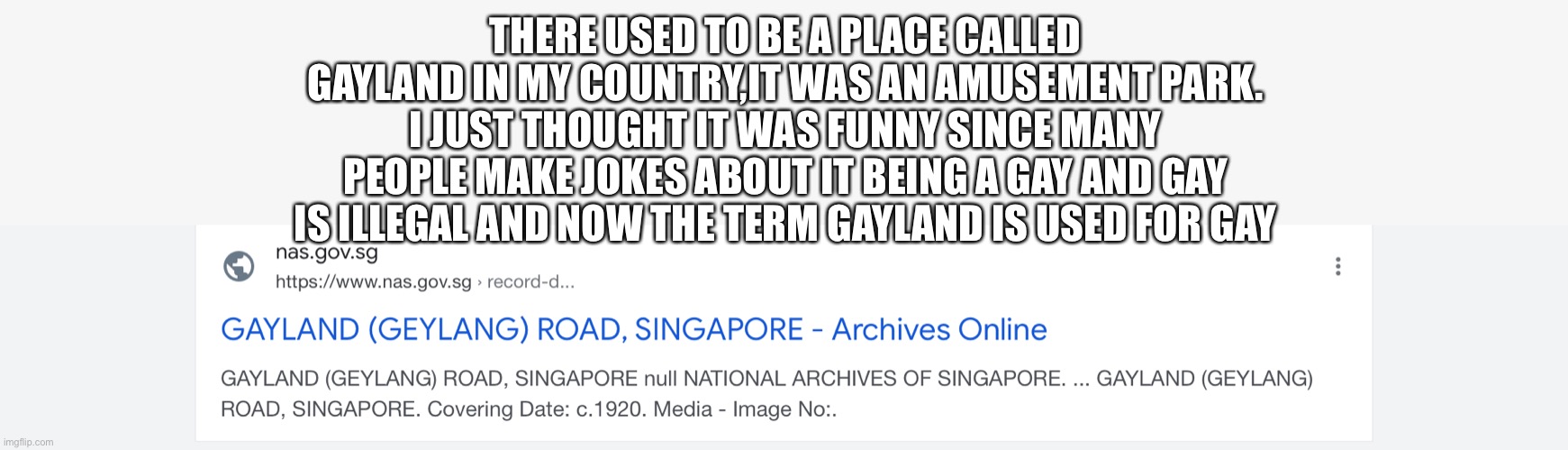 THERE USED TO BE A PLACE CALLED GAYLAND IN MY COUNTRY,IT WAS AN AMUSEMENT PARK. I JUST THOUGHT IT WAS FUNNY SINCE MANY PEOPLE MAKE JOKES ABOUT IT BEING A GAY AND GAY IS ILLEGAL AND NOW THE TERM GAYLAND IS USED FOR GAY | made w/ Imgflip meme maker