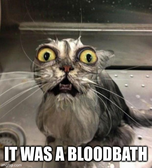 Astonished Wet Cat | IT WAS A BLOODBATH | image tagged in astonished wet cat | made w/ Imgflip meme maker
